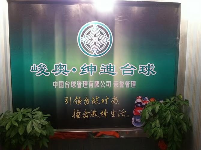 峻奥台球怎么加盟_峻奥台球加盟费82.1万起